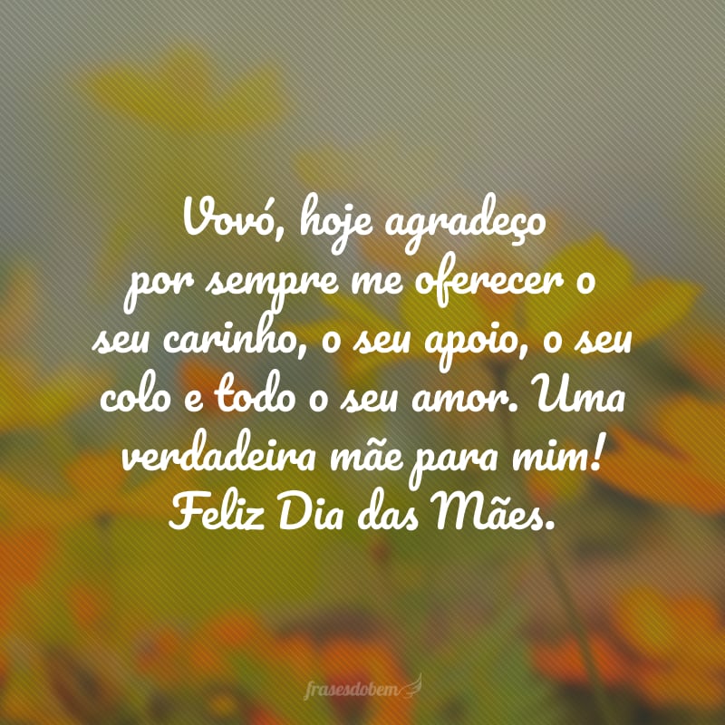 Vovó, hoje agradeço por sempre me oferecer o seu carinho, o seu apoio, o seu colo e todo o seu amor. Uma verdadeira mãe para mim! Feliz Dia das Mães.