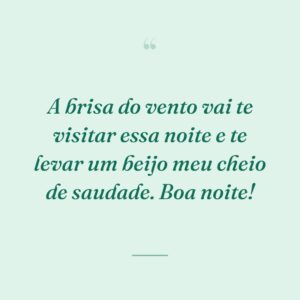 A brisa do vento vai te visitar essa noite e te levar um beijo meu cheio de saudade. Boa noite!