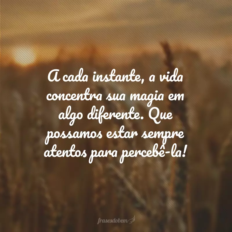 A cada instante, a vida concentra sua magia em algo diferente. Que possamos estar sempre atentos para percebê-la!