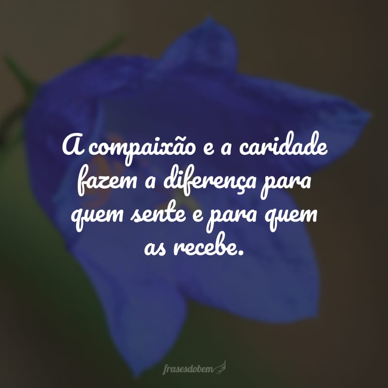 A compaixão e a caridade fazem a diferença para quem sente e para quem as recebe.