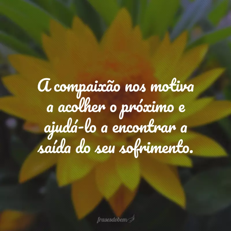 A compaixão nos motiva a acolher o próximo e ajudá-lo a encontrar a saída do seu sofrimento.