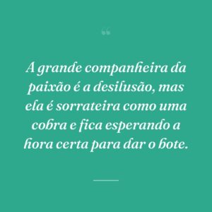 A grande companheira da paixão é a desilusão, mas ela é sorrateira como uma cobra e fica esperando a hora certa para dar o bote.