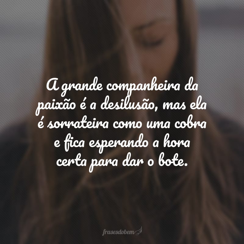 A grande companheira da paixão é a desilusão, mas ela é sorrateira como uma cobra e fica esperando a hora certa para dar o bote.