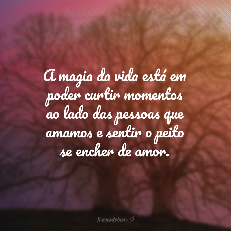 A magia da vida está em poder curtir momentos ao lado das pessoas que amamos e sentir o peito se encher de amor.