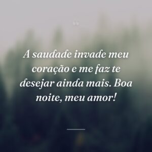 A saudade invade meu coração e me faz te desejar ainda mais. Boa noite, meu amor!
