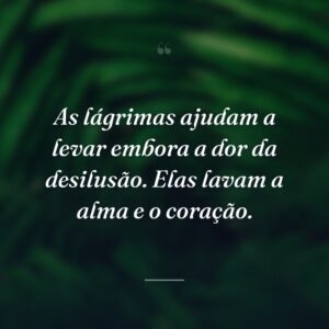 As lágrimas ajudam a levar embora a dor da desilusão. Elas lavam a alma e o coração.