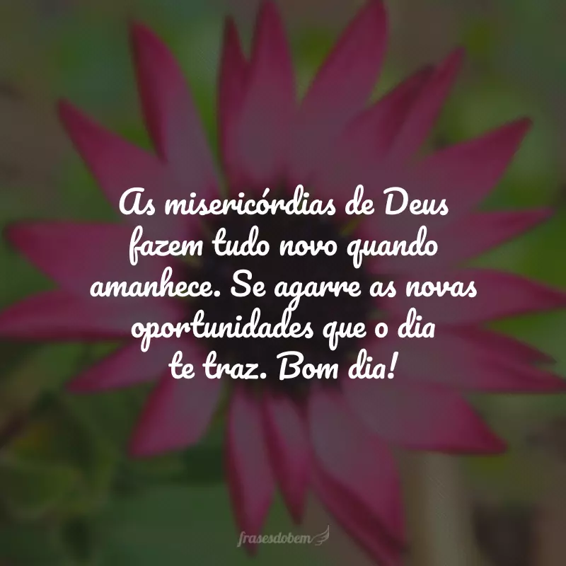 As misericórdias de Deus fazem tudo novo quando amanhece. Se agarre as novas oportunidades que o dia te traz. Bom dia!