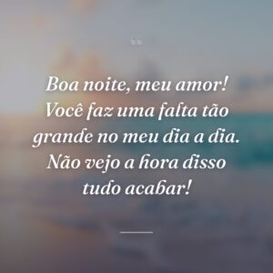 Boa noite, meu amor! Você faz uma falta tão grande no meu dia a dia. Não vejo a hora disso tudo acabar!