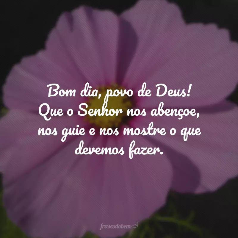 Bom dia, povo de Deus! Que o Senhor nos abençoe, nos guie e nos mostre o que devemos fazer.