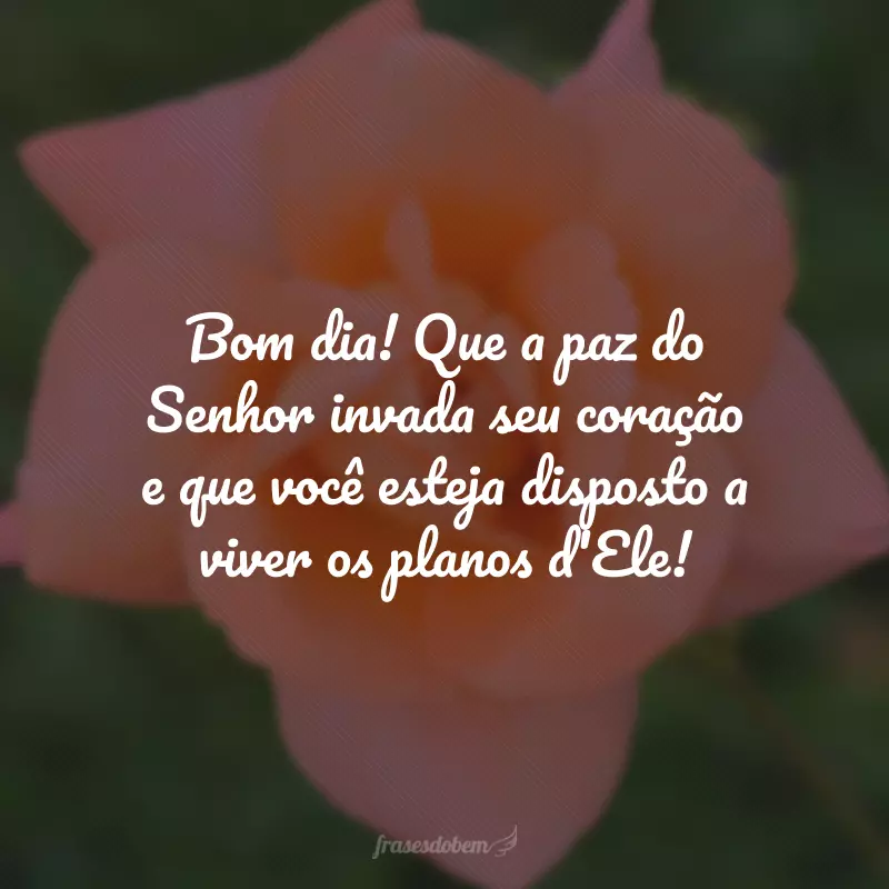 Bom dia! Que a paz do Senhor invada seu coração e que você esteja disposto a viver os planos d'Ele!