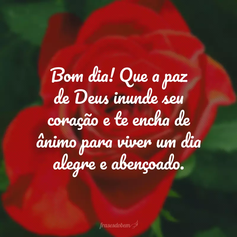 Bom dia! Que a paz de Deus inunde seu coração e te encha de ânimo para viver um dia alegre e abençoado.