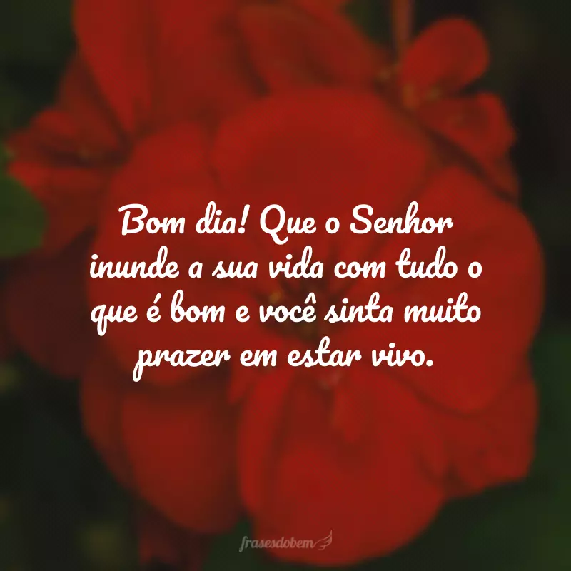 Bom dia! Que o Senhor inunde a sua vida com tudo o que é bom e você sinta muito prazer em estar vivo.