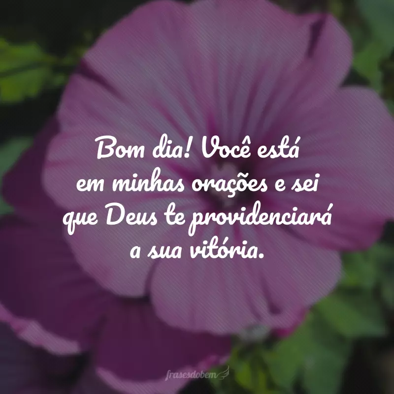 Bom dia! Você está em minhas orações e sei que Deus te providenciará a sua vitória.