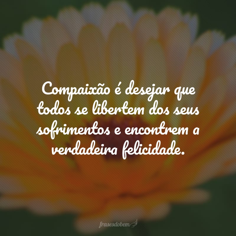 Compaixão é desejar que todos se libertem dos seus sofrimentos e encontrem a verdadeira felicidade.