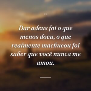 Dar adeus foi o que menos doeu, o que realmente machucou foi saber que você nunca me amou.