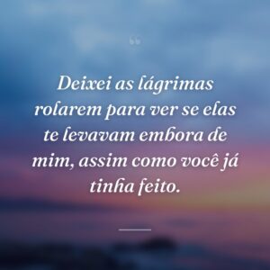 Deixei as lágrimas rolarem para ver se elas te levavam embora de mim, assim como você já tinha feito.