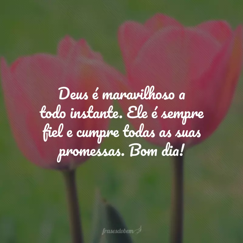 Deus é maravilhoso a todo instante. Ele é sempre fiel e cumpre todas as suas promessas. Bom dia!