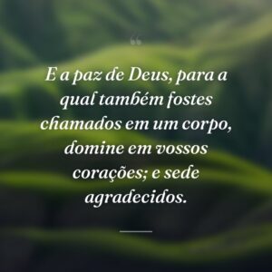 E a paz de Deus, para a qual também fostes chamados em um corpo, domine em vossos corações; e sede agradecidos.