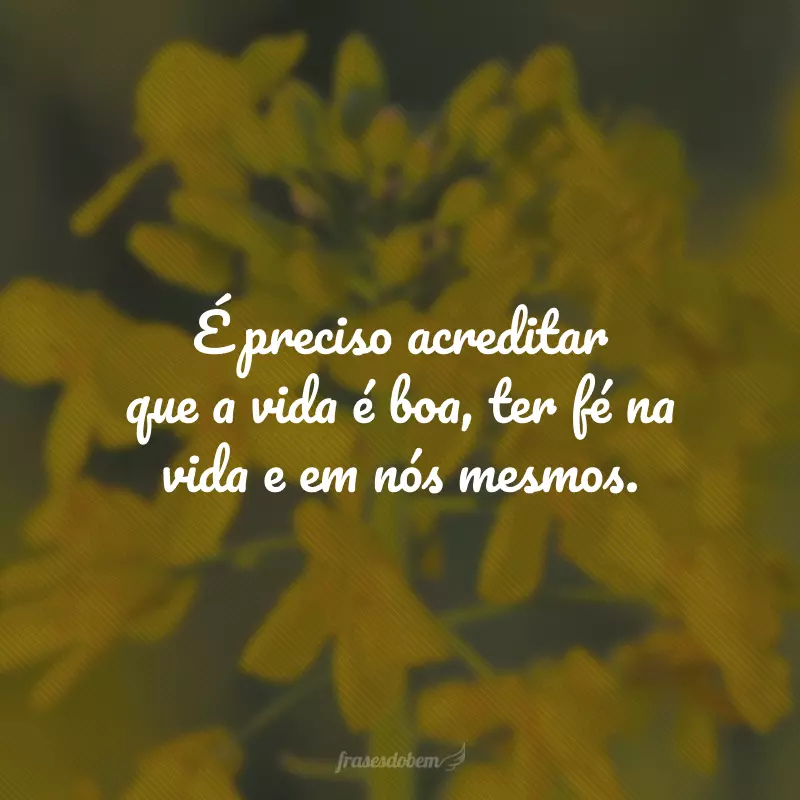 É preciso acreditar que a vida é boa, ter fé na vida e em nós mesmos.