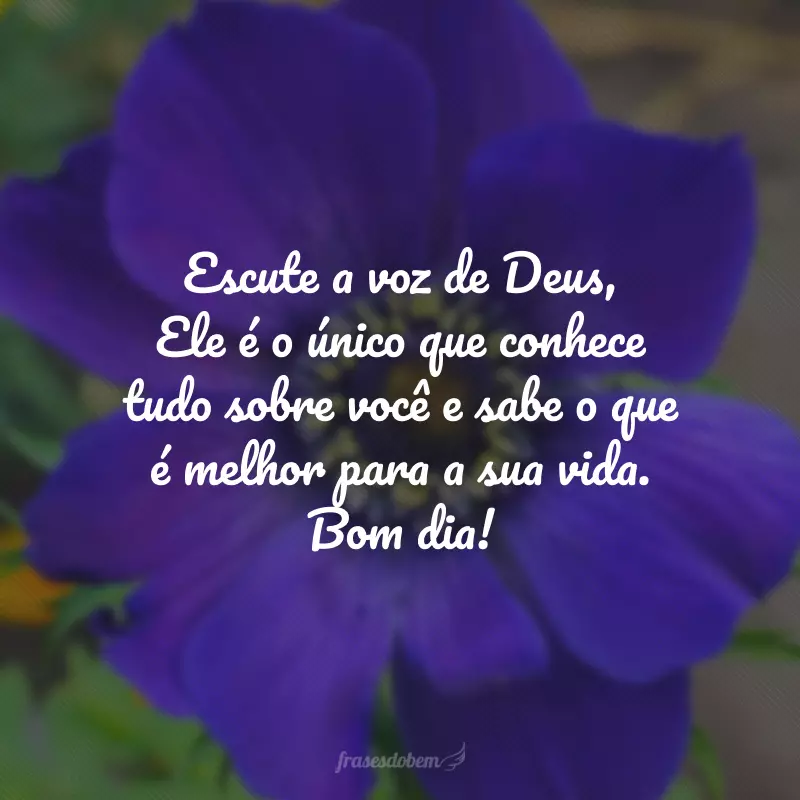 Escute a voz de Deus, Ele é o único que conhece tudo sobre você e sabe o que é melhor para a sua vida. Bom dia!