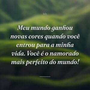 Meu mundo ganhou novas cores quando você entrou para a minha vida. Você é o namorado mais perfeito do mundo!