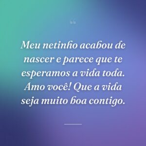 Meu netinho acabou de nascer e parece que te esperamos a vida toda. Amo você! Que a vida seja muito boa contigo.