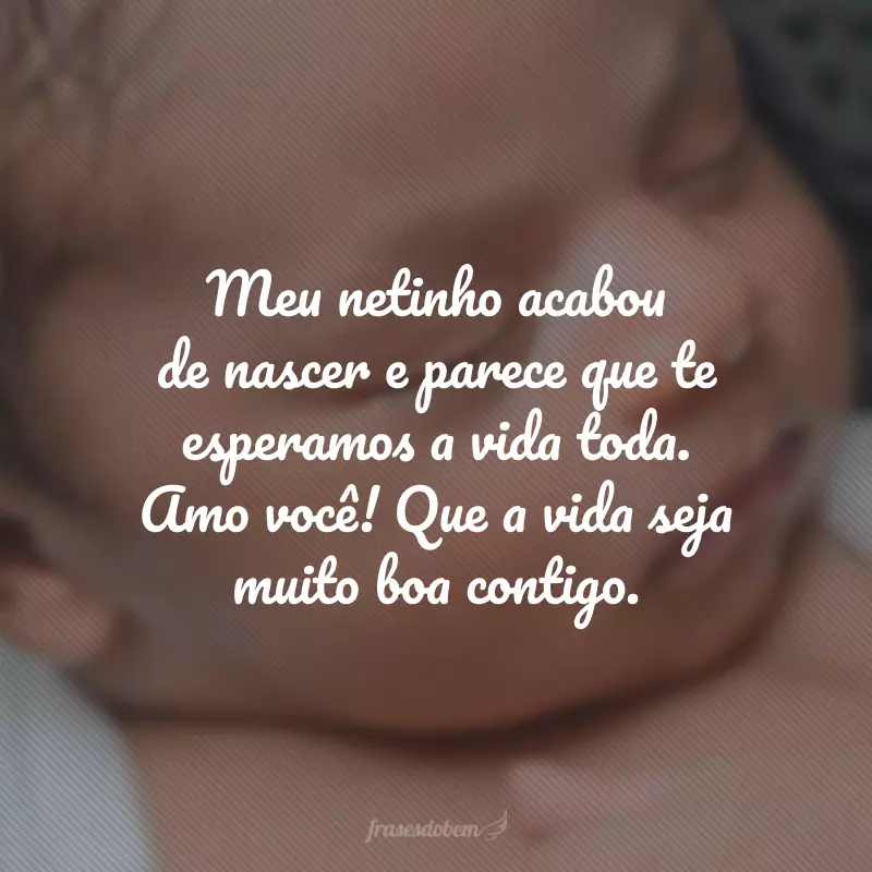 Meu netinho acabou de nascer e parece que te esperamos a vida toda. Amo você! Que a vida seja muito boa contigo.