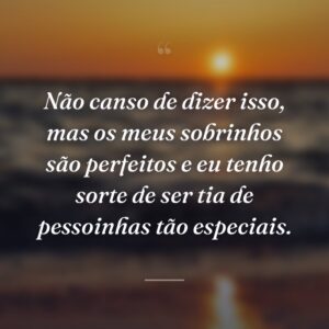 Não canso de dizer isso, mas os meus sobrinhos são perfeitos e eu tenho sorte de ser tia de pessoinhas tão especiais.