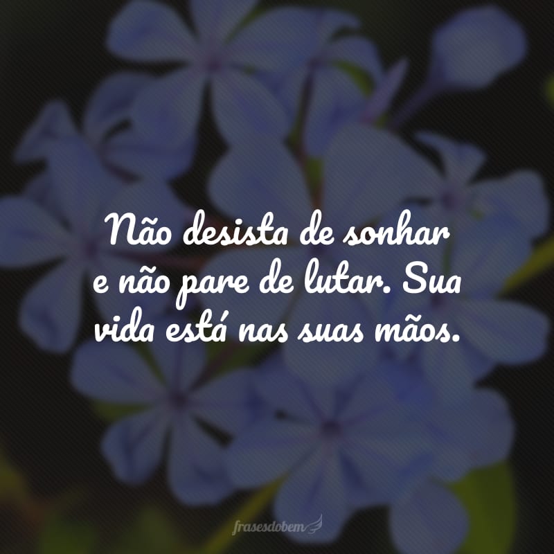 Não desista de sonhar e não pare de lutar. Sua vida está nas suas mãos.