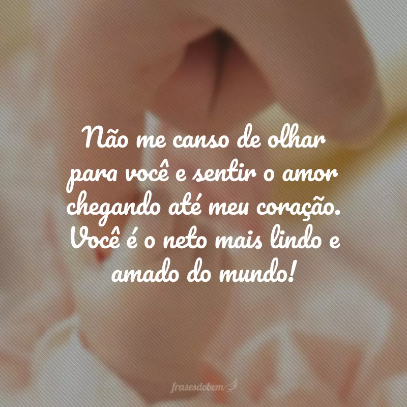 Não me canso de olhar para você e sentir o amor chegando até meu coração. Você é o neto mais lindo e amado do mundo!