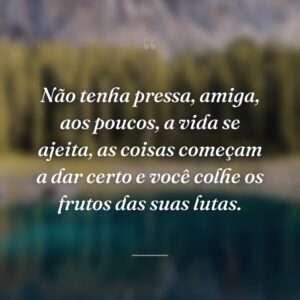 Não tenha pressa, amiga, aos poucos, a vida se ajeita, as coisas começam a dar certo e você colhe os frutos das suas lutas.