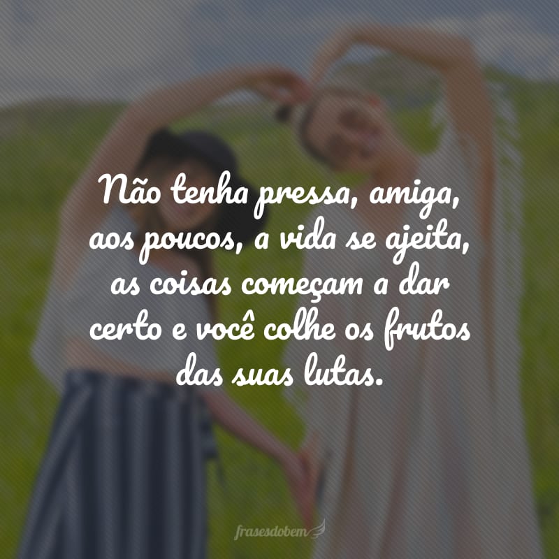 Não tenha pressa, amiga, aos poucos, a vida se ajeita, as coisas começam a dar certo e você colhe os frutos das suas lutas.