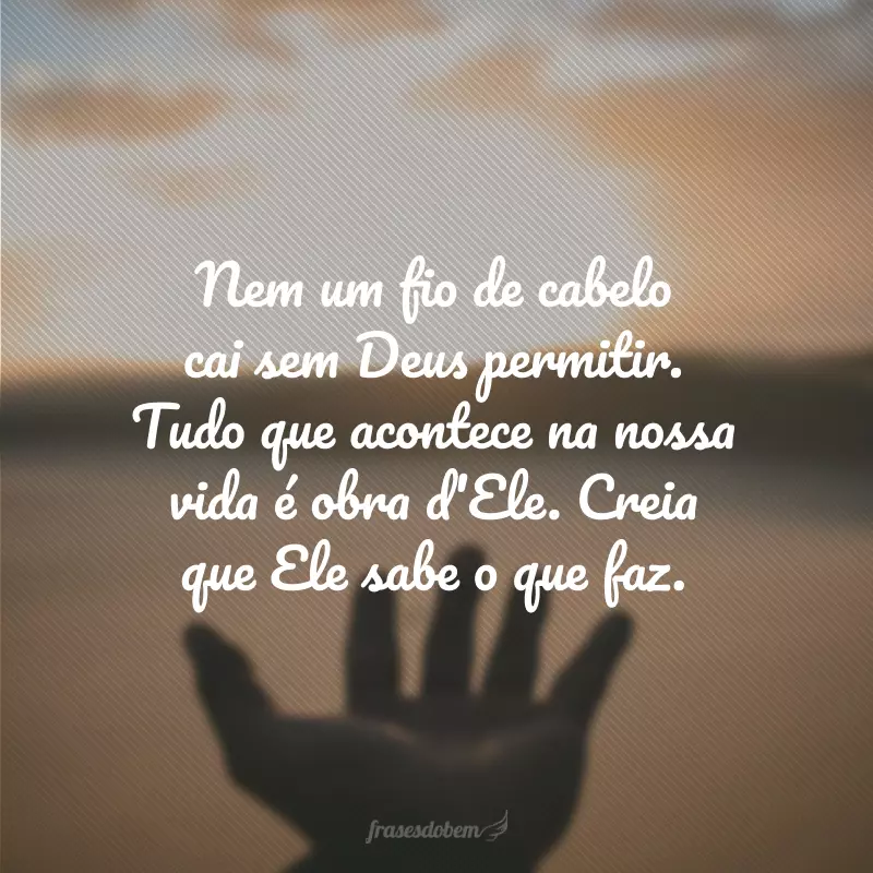 Nem um fio de cabelo cai sem Deus permitir. Tudo que acontece na nossa vida é obra d'Ele. Creia que Ele sabe o que faz.