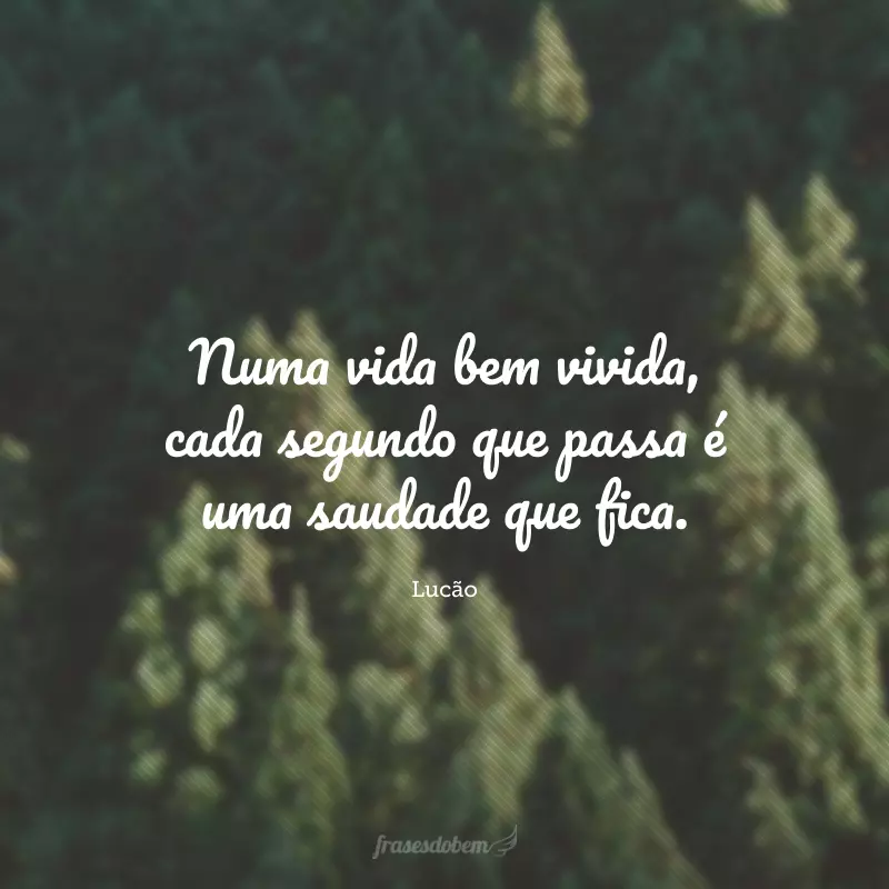 Numa vida bem vivida, cada segundo que passa é uma saudade que fica.