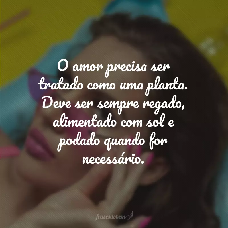 O amor precisa ser tratado como uma planta. Deve ser sempre regado, alimentado com sol e podado quando for necessário.