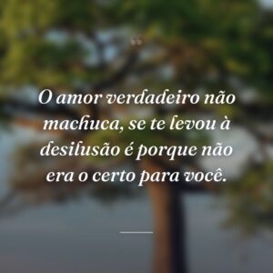 O amor verdadeiro não machuca, se te levou à desilusão é porque não era o certo para você.