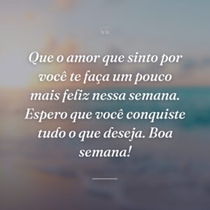 Que o amor que sinto por você te faça um pouco mais feliz nessa semana. Espero que você conquiste tudo o que deseja. Boa semana!