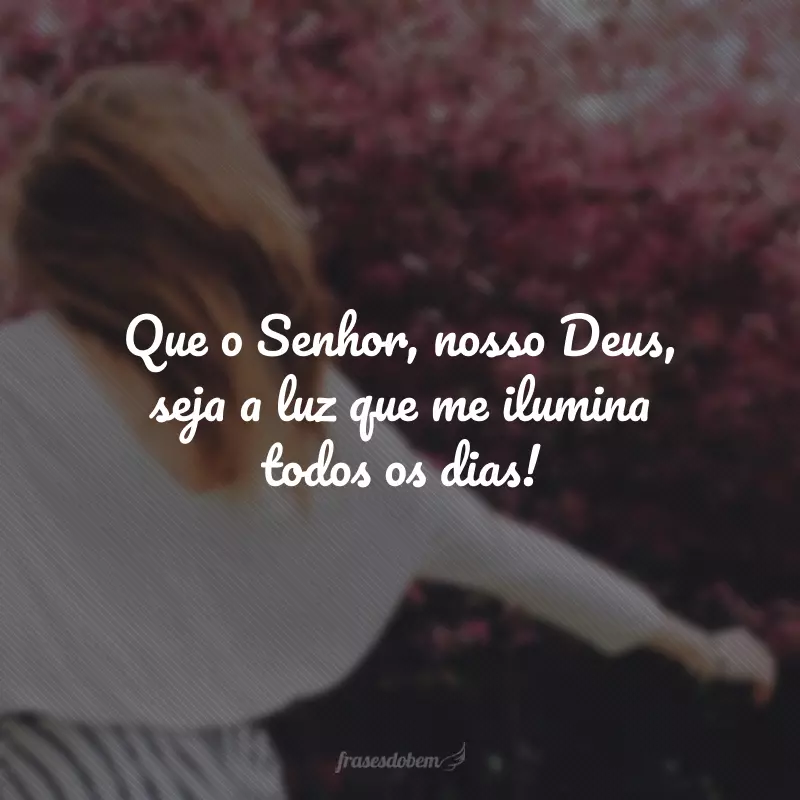 Que o Senhor, nosso Deus, seja a luz que me ilumina todos os dias! 