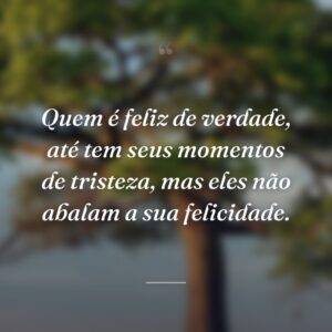 Quem é feliz de verdade, até tem seus momentos de tristeza, mas eles não abalam a sua felicidade.