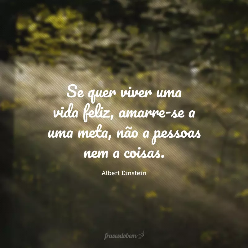 Se quer viver uma vida feliz, amarre-se a uma meta, não a pessoas nem a coisas.