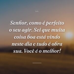 Senhor, como é perfeito o seu agir. Sei que muita coisa boa está vindo neste dia e tudo é obra sua. Você é o melhor!