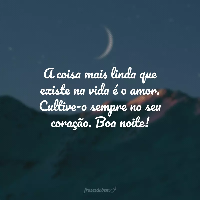 A coisa mais linda que existe na vida é o amor. Cultive-o sempre no seu coração. Boa noite!