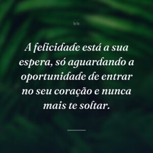A felicidade está a sua espera, só aguardando a oportunidade de entrar no seu coração e nunca mais te soltar.