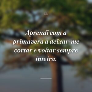 Aprendi com a primavera a deixar-me cortar e voltar sempre inteira.
