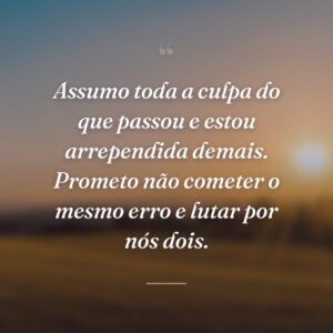 Assumo toda a culpa do que passou e estou arrependida demais. Prometo não cometer o mesmo erro e lutar por nós dois.