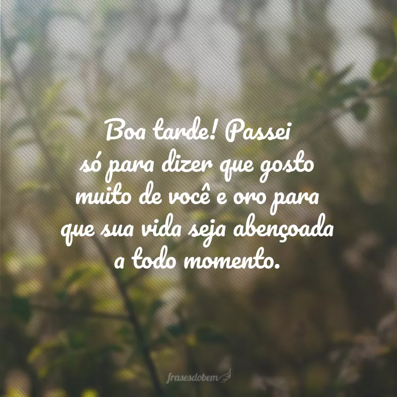 Boa tarde! Passei só para dizer que gosto muito de você e oro para que sua vida seja abençoada a todo momento.