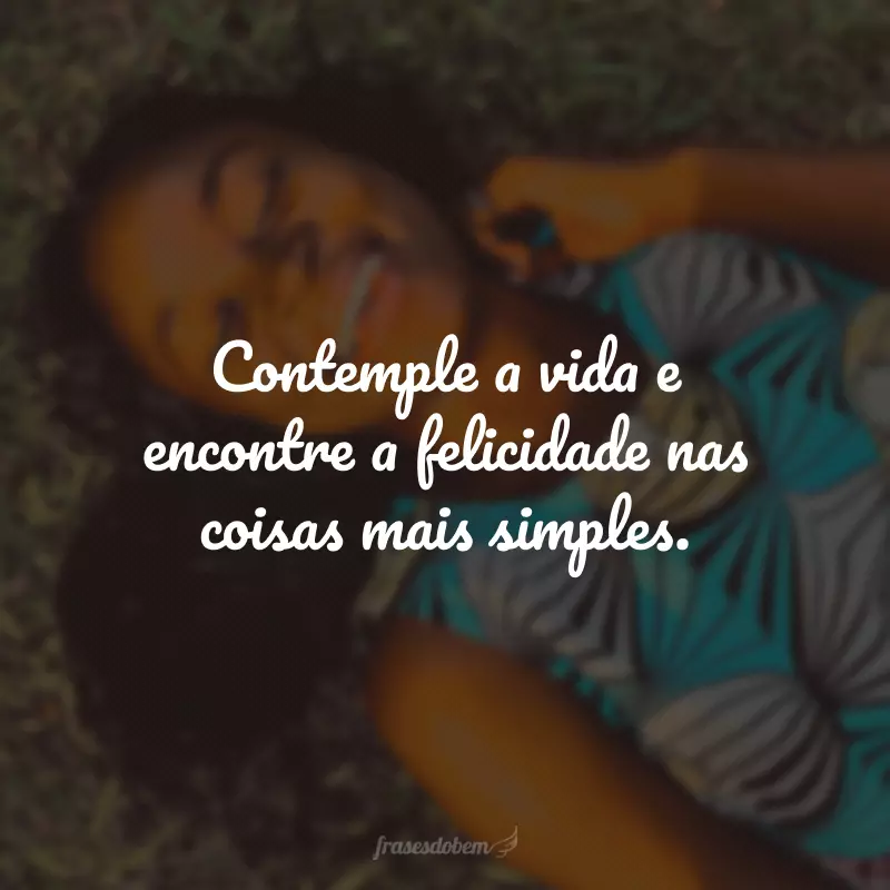 Contemple a vida e encontre a felicidade nas coisas mais simples.