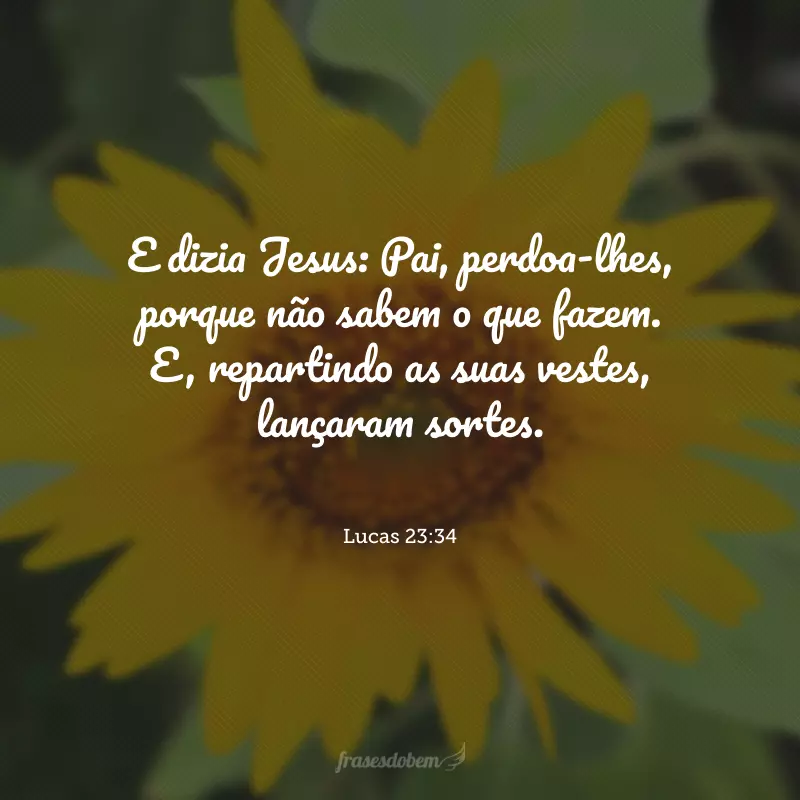 E dizia Jesus: Pai, perdoa-lhes, porque não sabem o que fazem. E, repartindo as suas vestes, lançaram sortes.