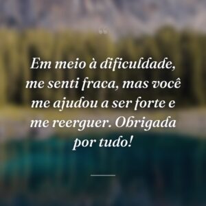 Em meio à dificuldade, me senti fraca, mas você me ajudou a ser forte e me reerguer. Obrigada por tudo!