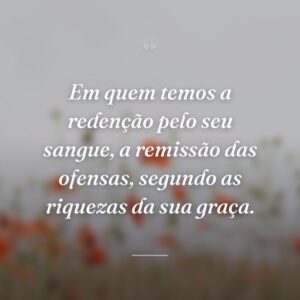 Em quem temos a redenção pelo seu sangue, a remissão das ofensas, segundo as riquezas da sua graça.